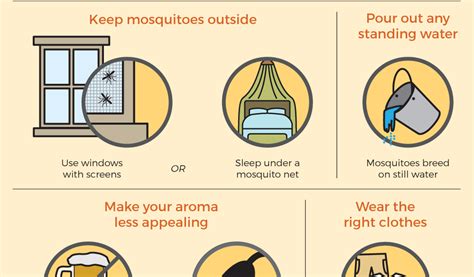 7 ways to prevent mosquito bites | One Medical