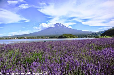 Love-nder in Lake Kawaguchi |singlerockworld A Japan travel blog