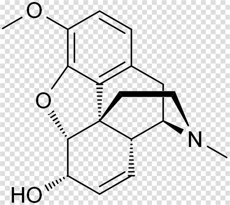 Chemical Makeup Of Morphine - Mugeek Vidalondon