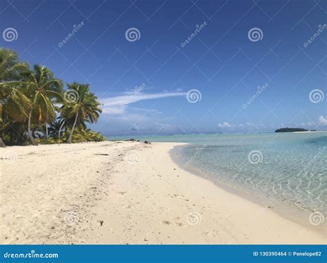 Aitutaki lagoon stock photo. Image of coral, fishes - 130390464