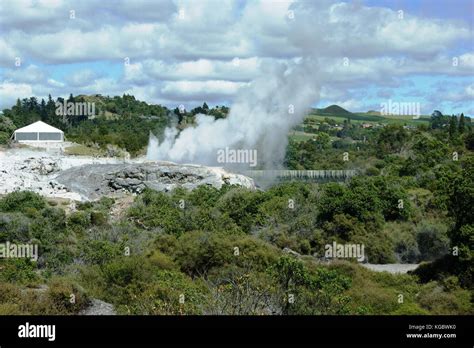 Thermal Park, Rotorua, New Zealand Stock Photo - Alamy