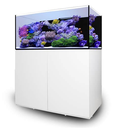 Waterbox Aquariums Launches 25 New Aquarium Models for 2018