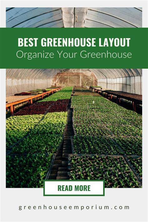 Best Greenhouse Layout: Organize Your Greenhouse