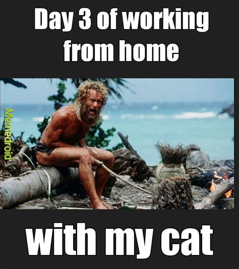 The best Castaway memes :) Memedroid