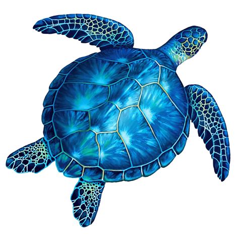 Sea Turtle Hawaii Drawing Turtle Transparent Background Png Clipart ...