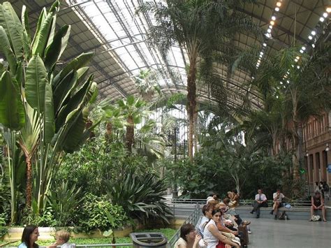 Botanical Garden Inside Atocha Train Station, Madrid | Amusing Planet