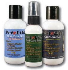 Dog Teeth Cleaning - Just $22.95