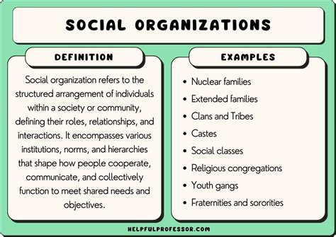 25 Social Organization Examples (2024)