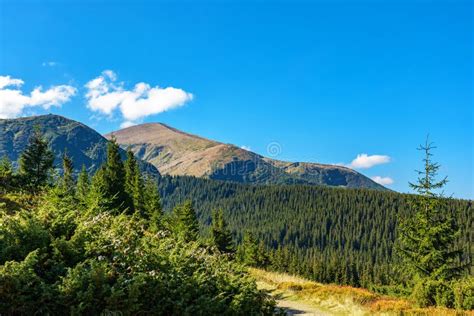 View of the Hoverla Mountain, Carpathian Mountains, Ukraine, Con Stock ...