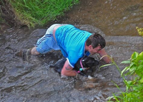 Dog derby thrills and spills! > A Little Bit of Stone