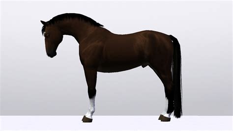 Horse Portrait Pose Pack - River Oak Saddlery