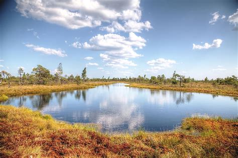 The Four National Parks Of Latvia - WorldAtlas