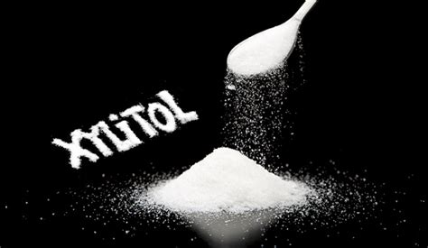 Is Xylitol Sweetener Really a Safe Sugar Substitute?