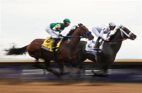 Everything you need to know about the 2023 Breeders' Cup - Yahoo Sports