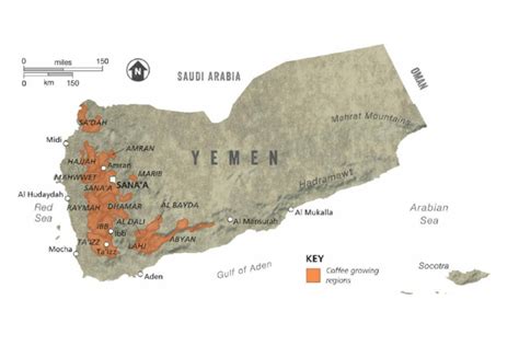 Coffee Origins Of Yemen - Helena Coffee Vietnam