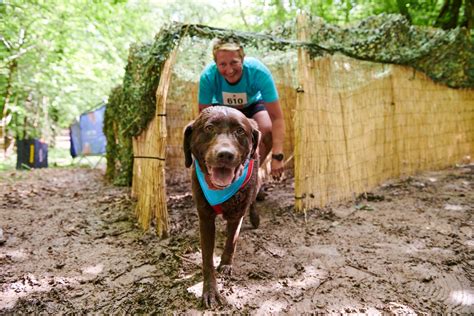 New Forest | Muddy Dog Challenge | Battersea | Muddy Dog Challenge 2023 | Battersea