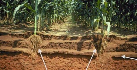 Measuring and Managing Soil Compaction