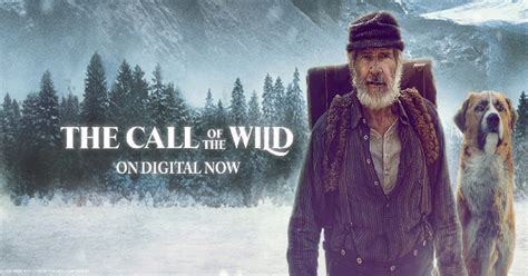 The Heartwarming Film 'Call of the Wild' is now on Digital - The Good ...