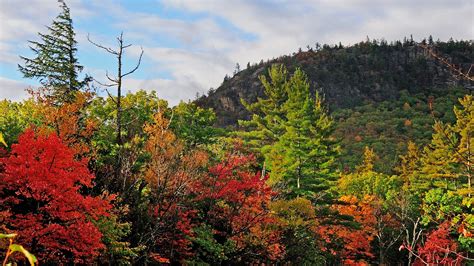 Autumn, trees, landscape, sky | picture, photo, desktop wallpaper.