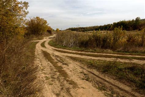 Limited Internet in rural Michigan depresses student, business ...