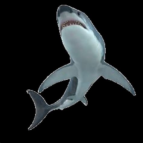 3D Printable Shark by Xổ số Hay88