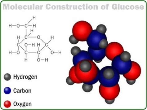 classification and general properties of carbohydrates , in easy way ...