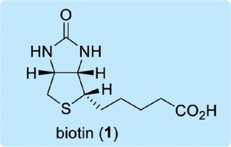 Structure of biotin (1). | Download Scientific Diagram