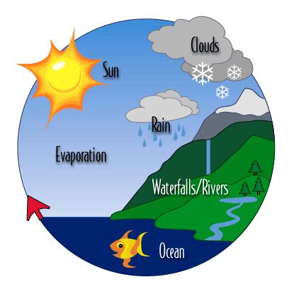 the water cycle is shown in this diagram, with different types of clouds and rain