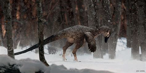 The giant troodontid dinosaurs of Alaska | Earth Archives