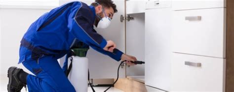 How to Choose the Right Exterminator for Your House?