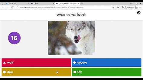 WHAT ANIMAL IS THAT (kahoot part 1) - YouTube