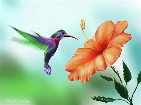 Garden Hummingbird Painting by Amanda Gusack - Fine Art America