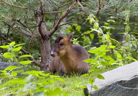 Adventure Zoo in Hannover - Germany - Blog about interesting places