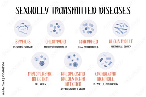 Sexually transmitted diseases. Bacterial infection. Syphilis, Gonorrhea, Chancroid, Ulcus molle ...