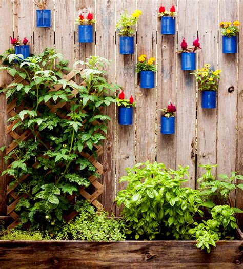 DIY Hanging Fence Garden in Backyard | House Design And Decor