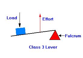 Third-Class Levers - Simple Machines