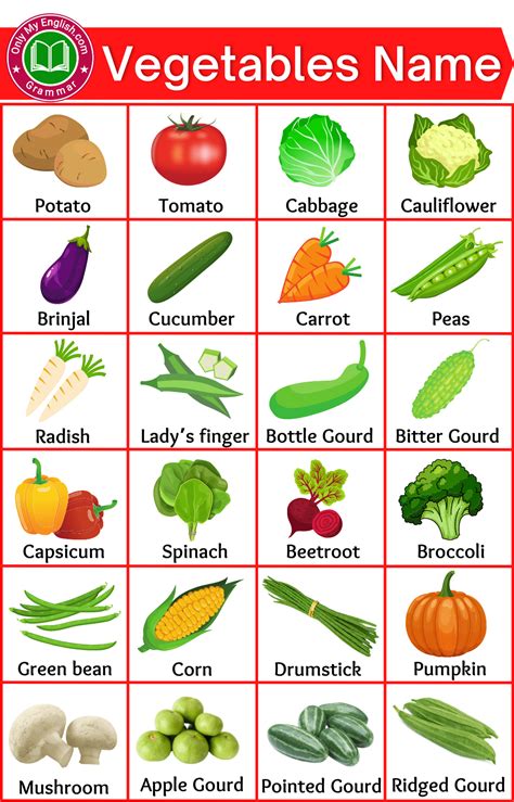 50+ Vegetables Name in English A to Z » Onlymyenglish.com