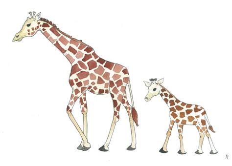 Giraffe clipart mom baby, Giraffe mom baby Transparent FREE for ...