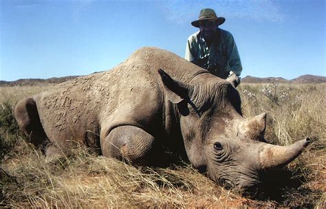 Black Rhinoceros | Big Game Hunting Records - Safari Club International ...