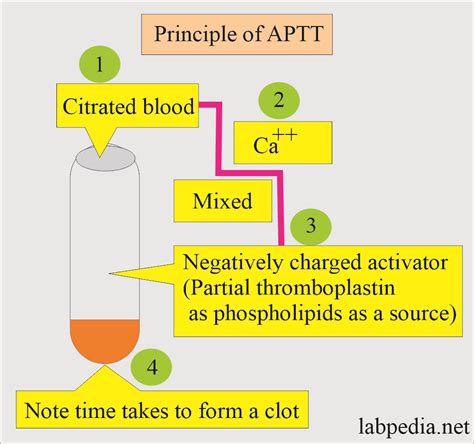 Coagulation:- part 4 - Partial Thromboplastin Time (PTT) and APTT - Labpedia.net