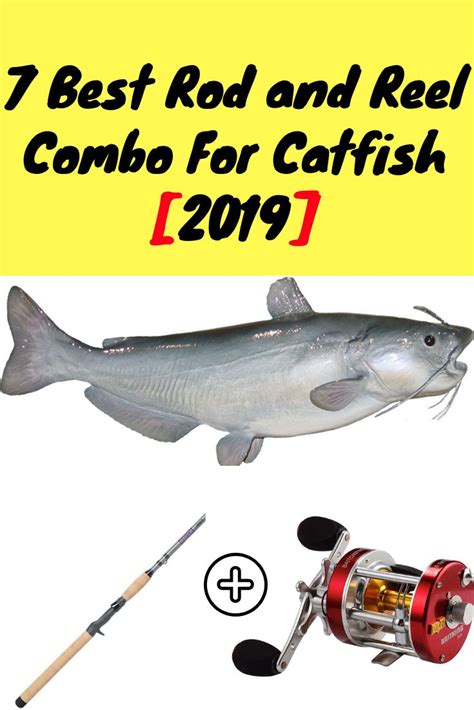 7 Best Rod and Reel Combo For Catfish | Rod and reel, Catfish rods, Catfish reels