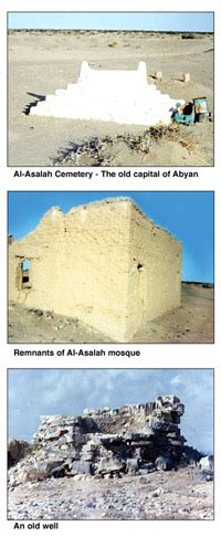 New Historical Sites Come to Light in Abyan [Archives:2001/17/Culture ...