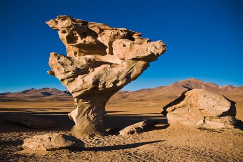 Bolivia | The Arbol de Piedra (Stone Tree) is a volcanic roc… | Flickr