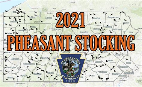 Want In On A Pheasant Hunting Secret?