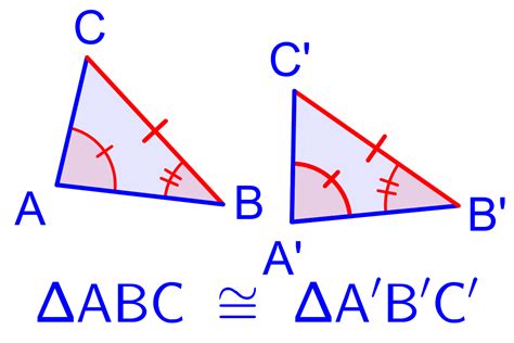 Diferencia entre congruente y similar (con tabla) - Mira la Diferencia ...