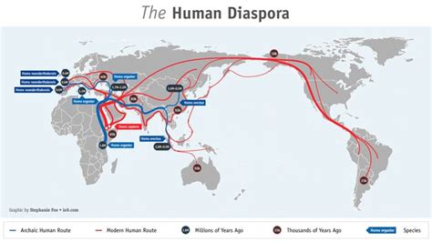 How did humans really evolve? | Human evolution, Evolution, Human migration