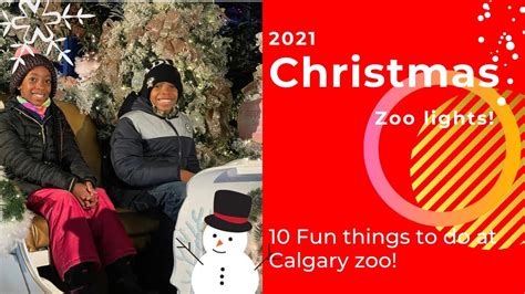 Zoo lights - Christmas In Calgary #zoolightsyyc - YouTube