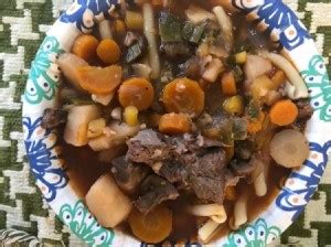 Instant Pot Beef Shank Vegetable Broth Soup | ThriftyFun