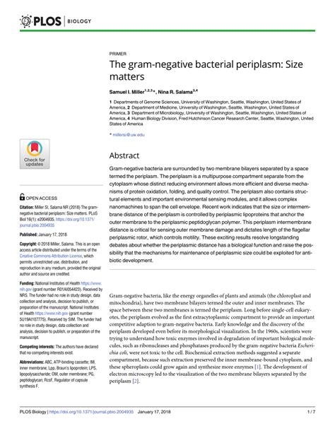 (PDF) The gram-negative bacterial periplasm: Size matters