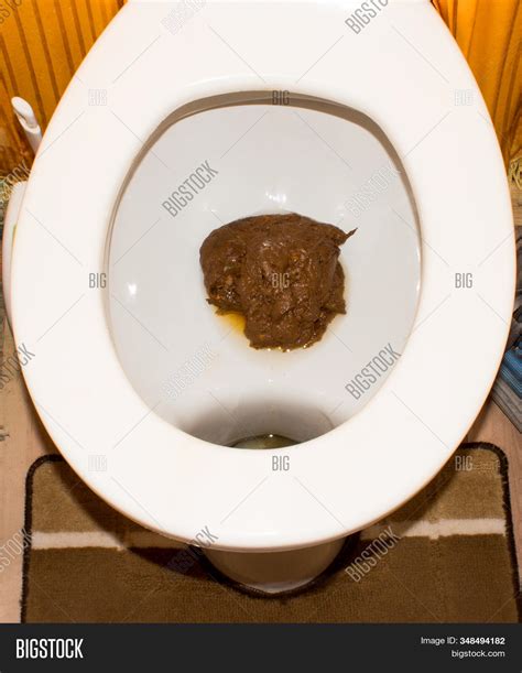 Shit.human Poo Toilet. Image & Photo (Free Trial) | Bigstock